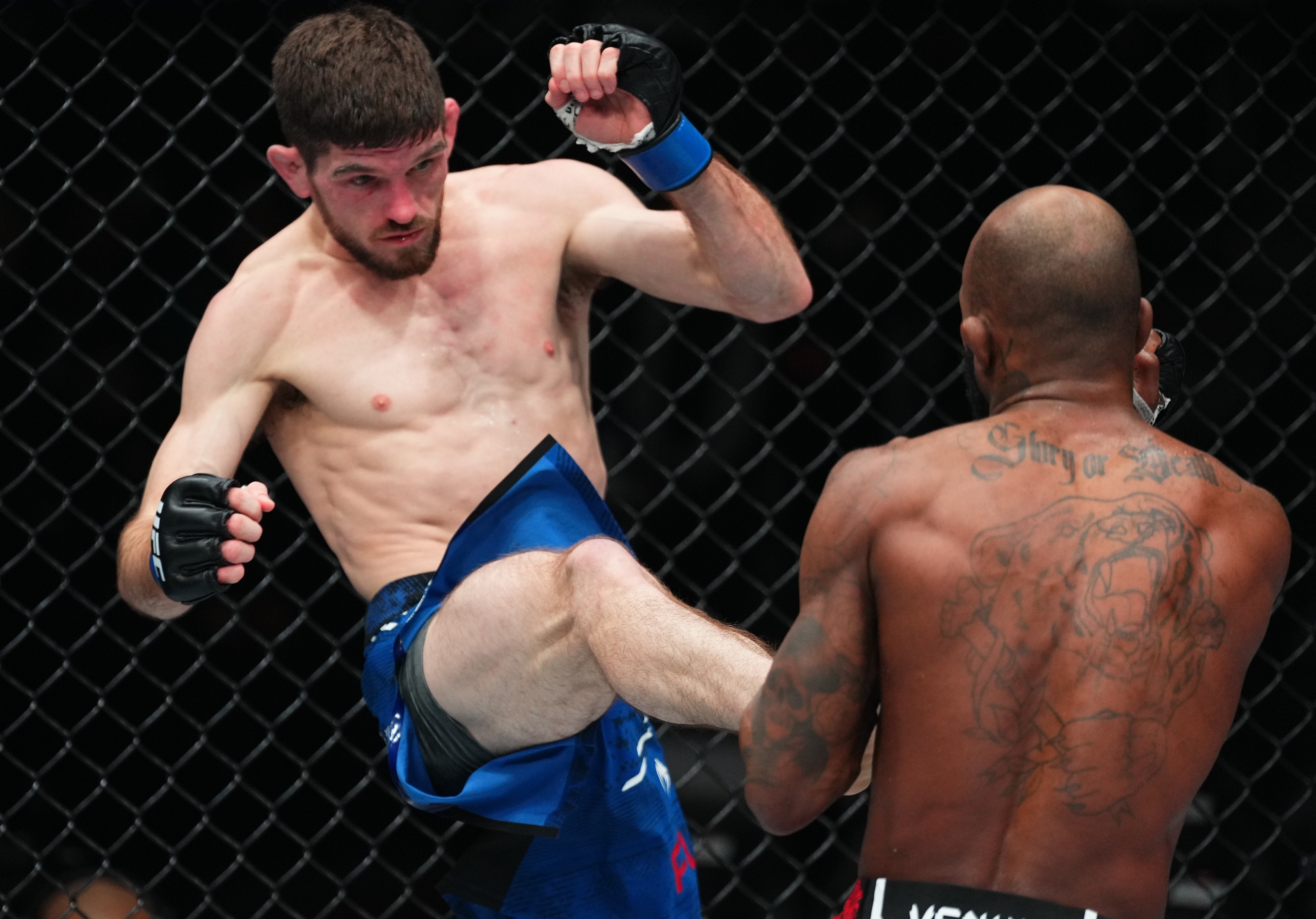 Watchwrestling ufc 236 new arrivals