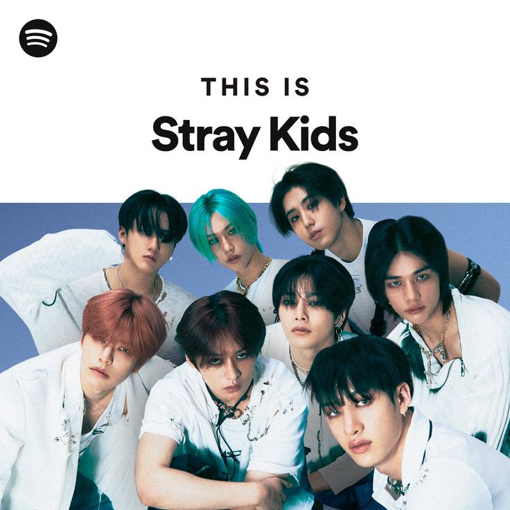 chanyeolpidao's tweet image. 💿 provando que o stray kids é mais do que panelaço pra quem resume eles a três músicas; a thread.