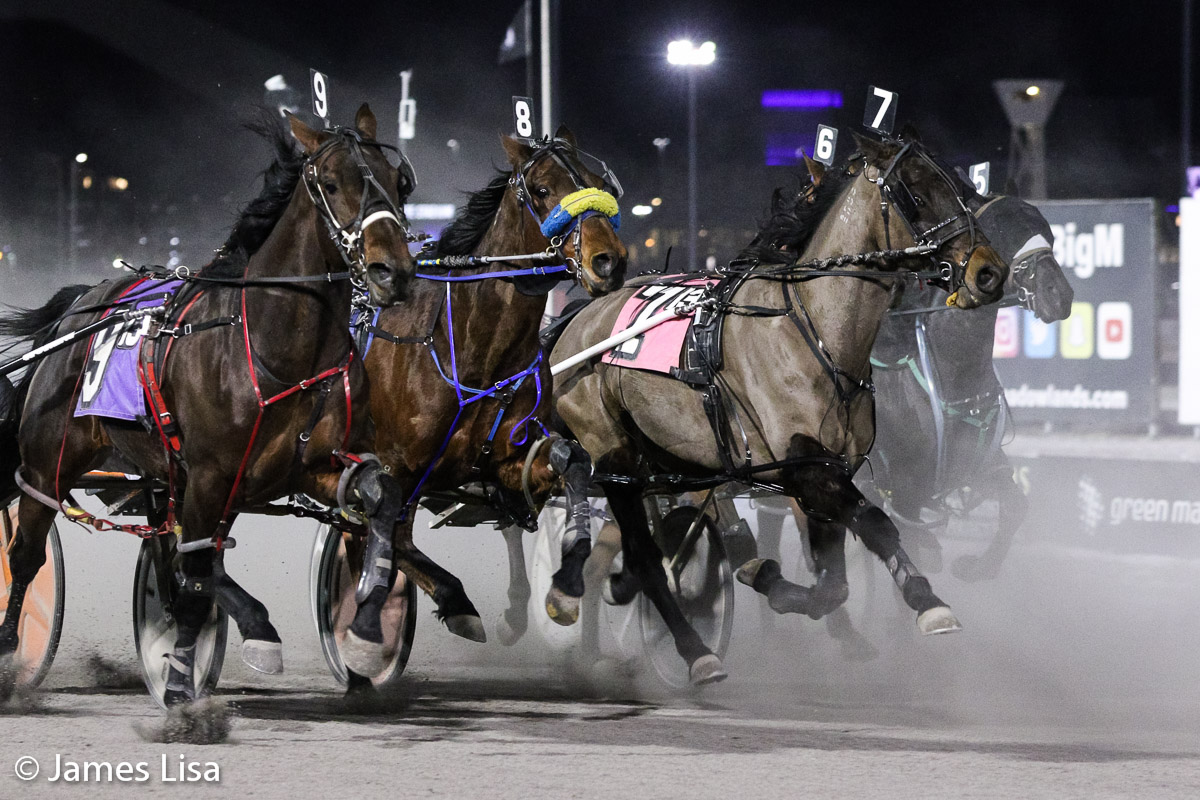 Mister Donald A leads the pack at the start of Race 13 <a href="/themeadowlands/">Meadowlands Racing</a> <a href="/JessicaOtten1/">Jessica Otten</a> <a href="/DaveLittleBigM/">Dave Little</a> #harnessracing