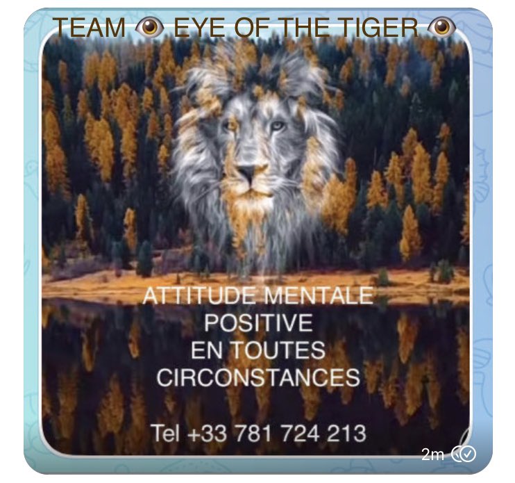 LAFAGESVIP's tweet image. IL FAUT TOUT SIMPLEMENT SE RELEVÉ PLUS DE FOIS QUE L’ON EST TOMBÉ - C’EST ÇA LE SUCCÈS 🫥☝️🫥Plus d’infos ci-dessous 👇👇o-trim.co/ONEFOCUSONE FOCUS ☂️ Tel : +33 781 724 213  T : +1 707 515 0039 E-mail : mailto:teletravail@omail.ai  L’ODACE CRÉE LA MAGIE, VOUS🔥