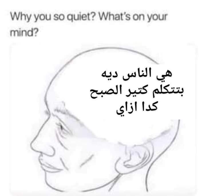 True Memes tweet media