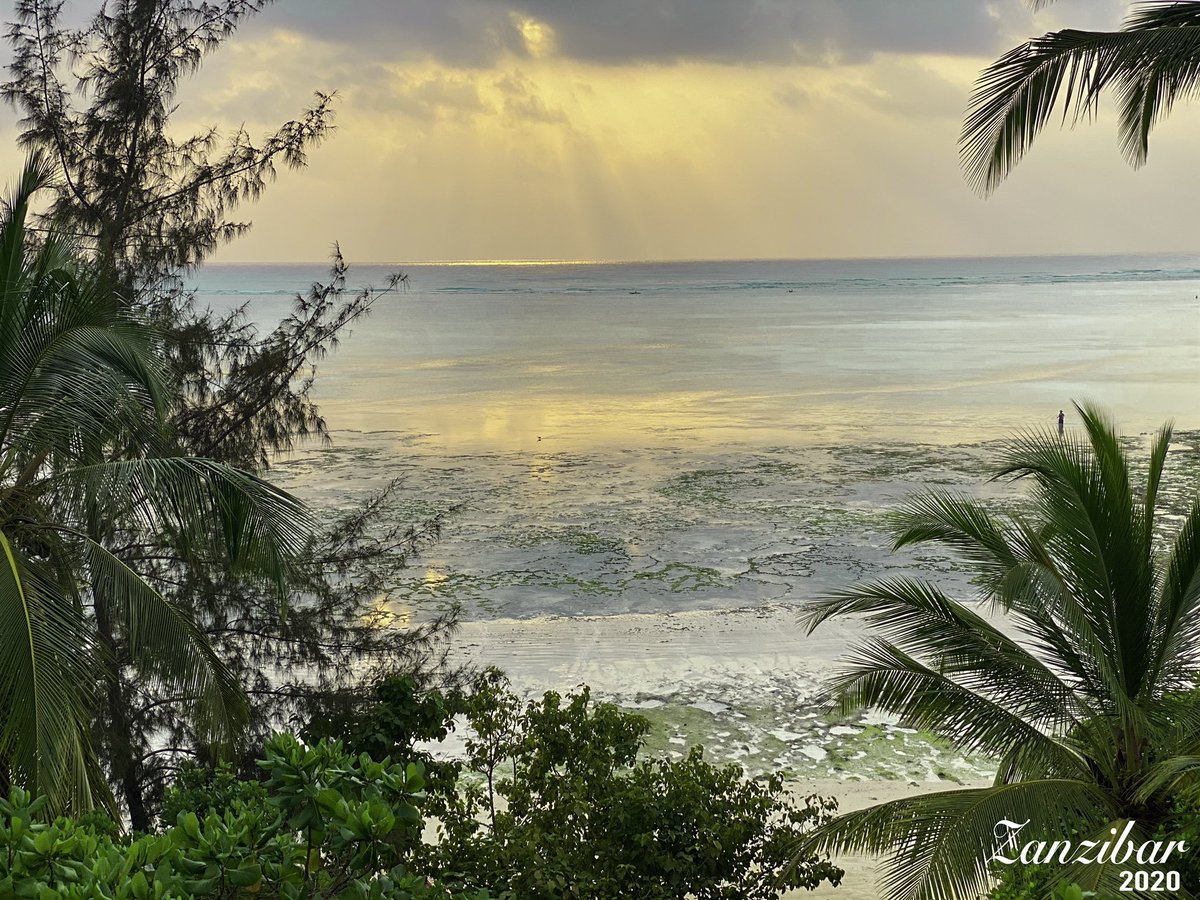 biggy52's tweet photo. Calming and Relaxing 

Taken with iPhone XS Max
12 MP / f1.8 / ISO 20 / 1/950s
#photography #nationalgeographic #landscapephotography #oceanphotography #tanzania #zanzibar #beachphotography #meliazanzibar https://t.co/hNGNxX1SRo