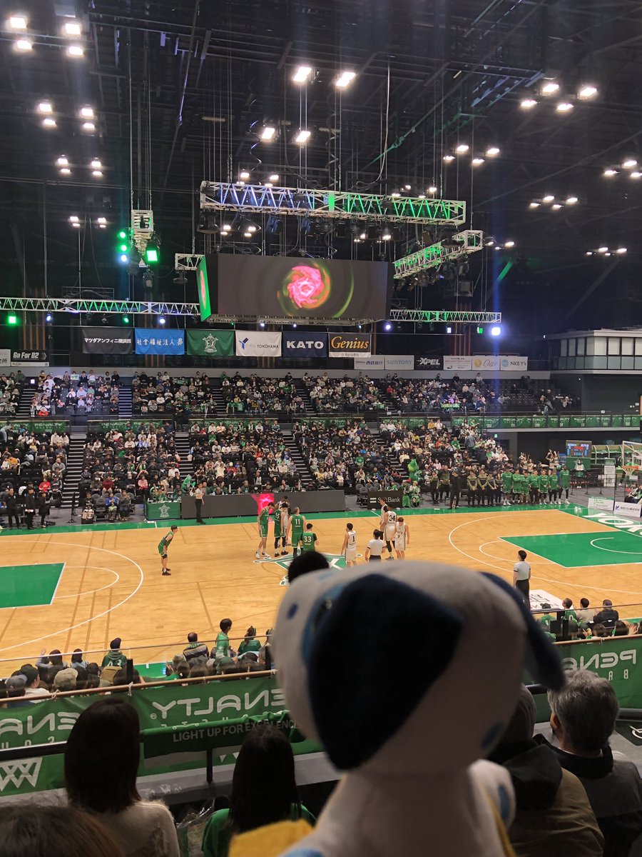 bluedalofficial's tweet photo. ボク初の横浜武道館!!
外は寒いけど、試合会場は熱い応援で盛り上がってるよ🐶🔥
今年も色々なスポーツの応援行きたいな🐾
#横浜武道館
#横浜エクセレンス🏀 https://t.co/5uEXucVbYX