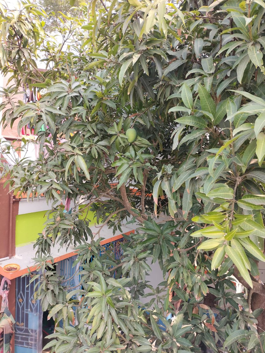 Karim Kaniz 🇮🇳 tweet media