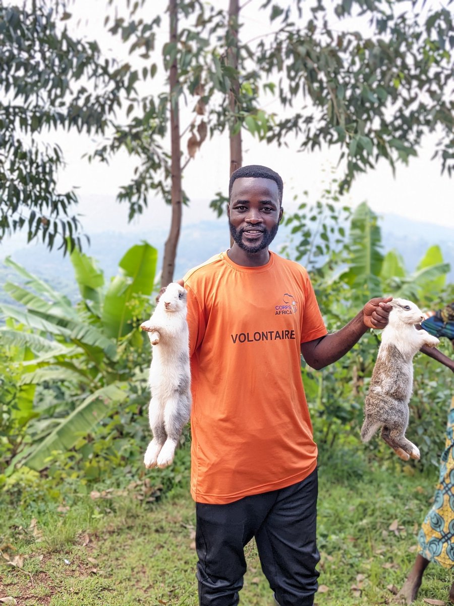 As a CorpsAfrica volunteer, my community and I have initiated a rabbit farming project, 'One rabbit for one household,' to combat poverty. Join us in sowing the seeds of change! 🌍🐰💚 @CorpsAfricaRda @harerimana_tito @rulindodistrict @BikorimanaVale9 @niyonzimapheni1