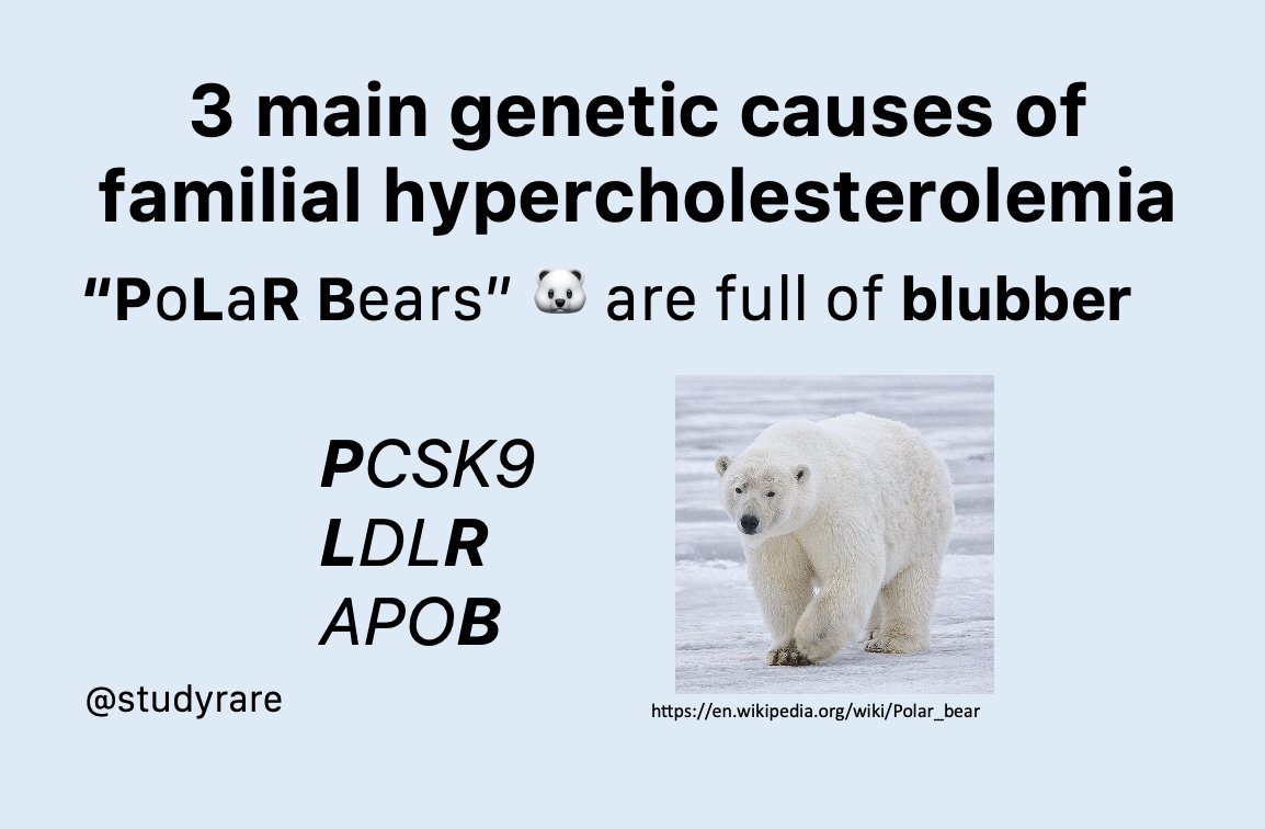 To remember the 3 main genetic causes of familial hypercholesterolemia, remember that "PoLaR Bears" 🐻‍❄️ are full of blubber (cholesterol):
PCSK9, LDLR, &amp; APOB
#GeneChat