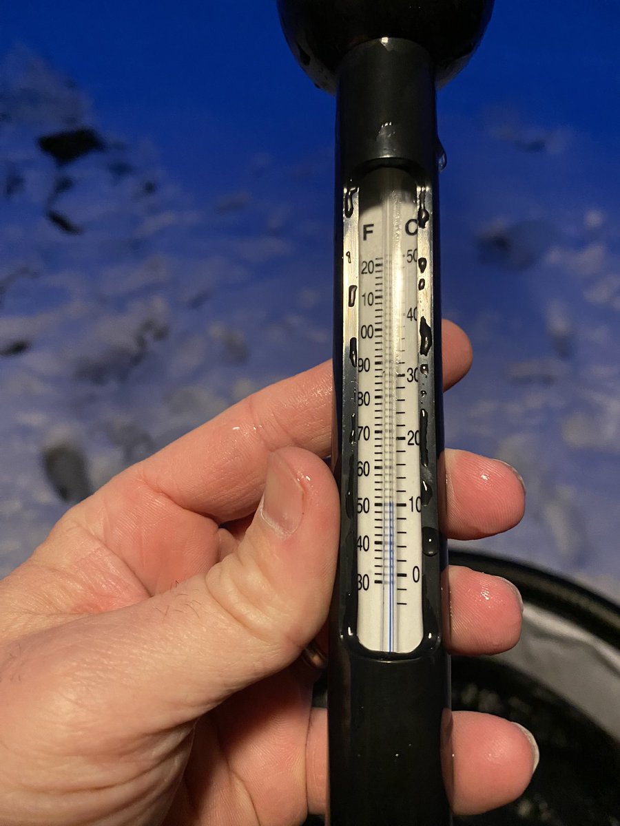 MTRisner's tweet image. Day 13 of 366 cold plunging for a year. I missed about a week due to subzero temps freezing the cold plunge solid. Water temperature was 50° vand air temperature was 37°. 🧊 🥶 You must be resilient in all you do! #GetAfterIt #GetSomeDopamine