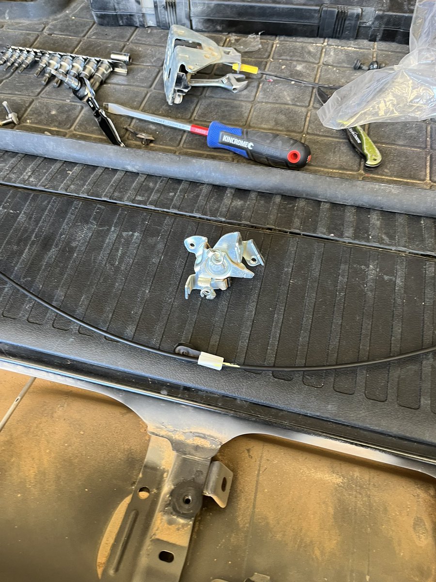 brad MOYLE tweet media