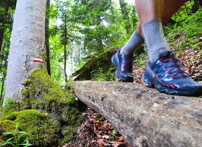 Volontaire pour tester des baskets recyclables Décathlon ? dlvr.it/T1fn40