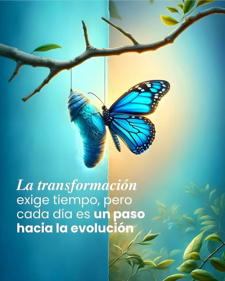 La transformación exige tiempo. ⌚⌛