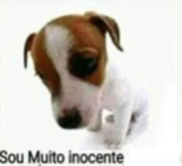 a gente é amigo, ficamos mais não somos ficantes