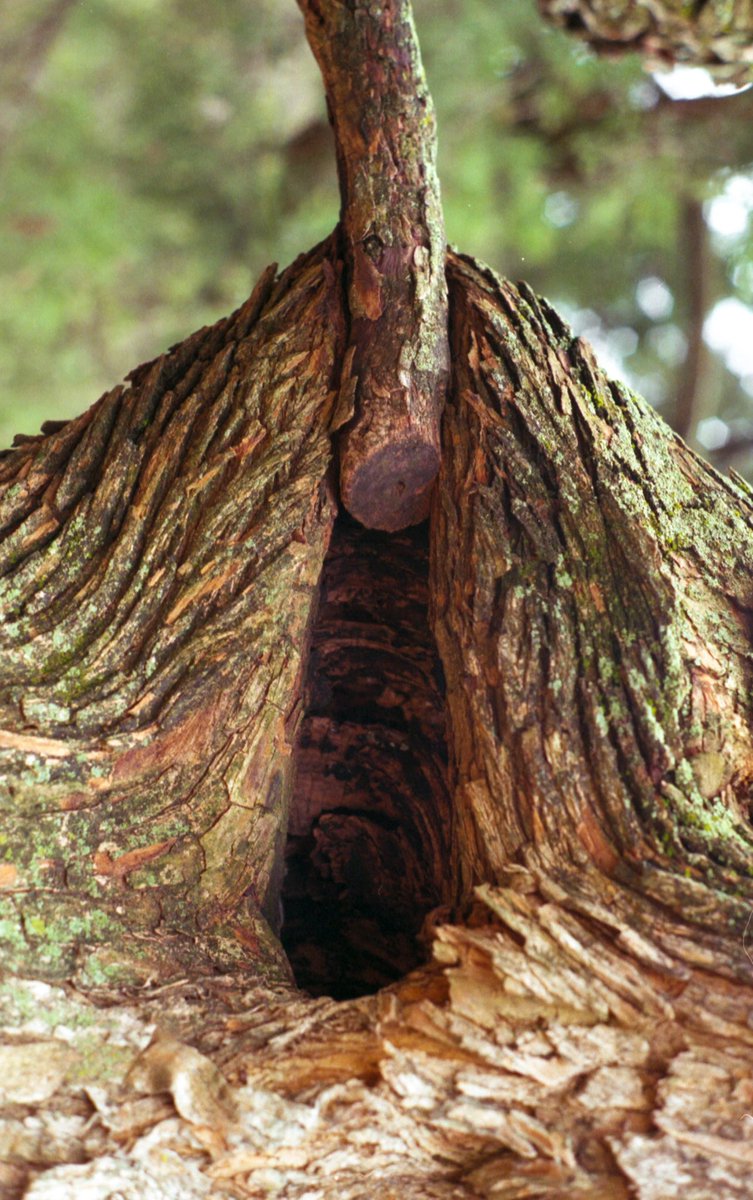 Hugogami's tweet image. Saw these OG’s today!
They inspired @ArteOvniNFT “ecosexual scapes” (only on @exchgART) 
IYKYK contemporary legends