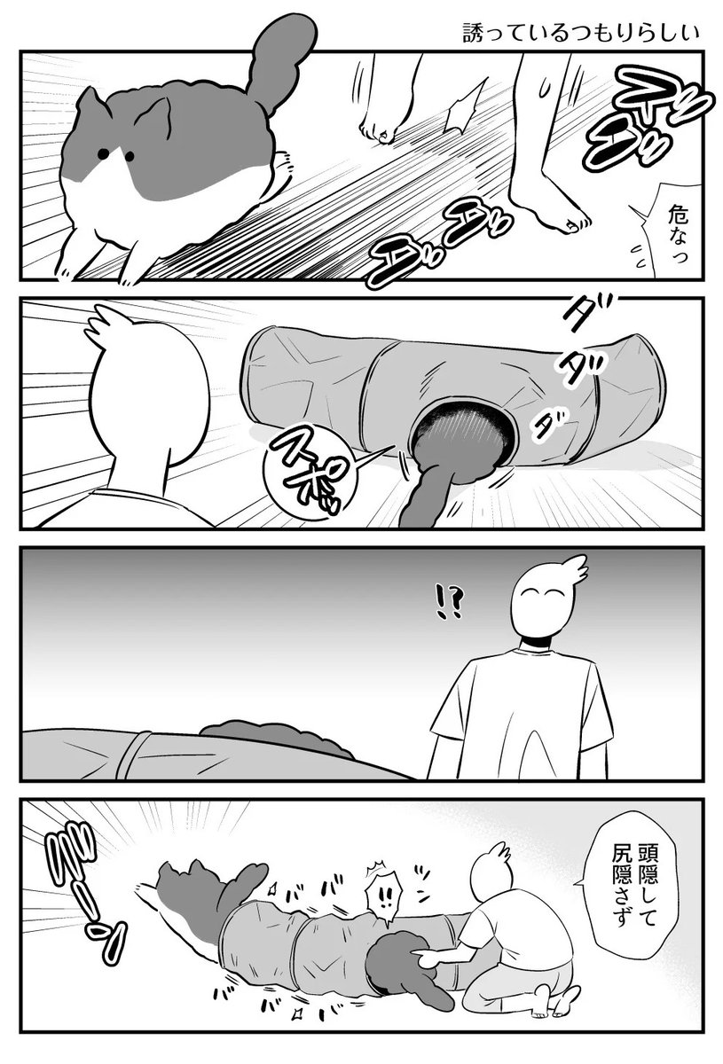 シロウくんの漫画詰め合わせ #秀さんちのゆるねこ日記