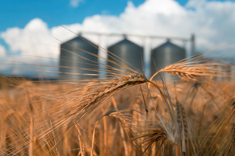 NatalieBrenda17's tweet photo. Ant Financial and Bayer to Jointly Develop Blockchain for Agriculture
Bayer Crop Science has agreed to work with Alibaba's Ant Financial to develop a blockchain-based system for agricultural product monitoring. https://t.co/58u8rVX2dV