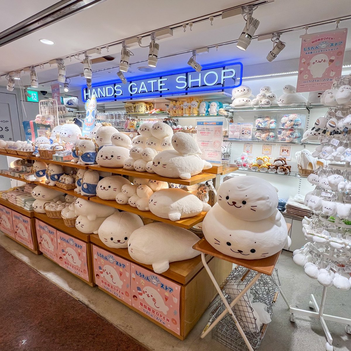 chesty Eiffel Knit 白 限定巾着付き チェスト プリフィーネ2 IF PF2-8045HWH 白井産業【お客様組立商品】の
