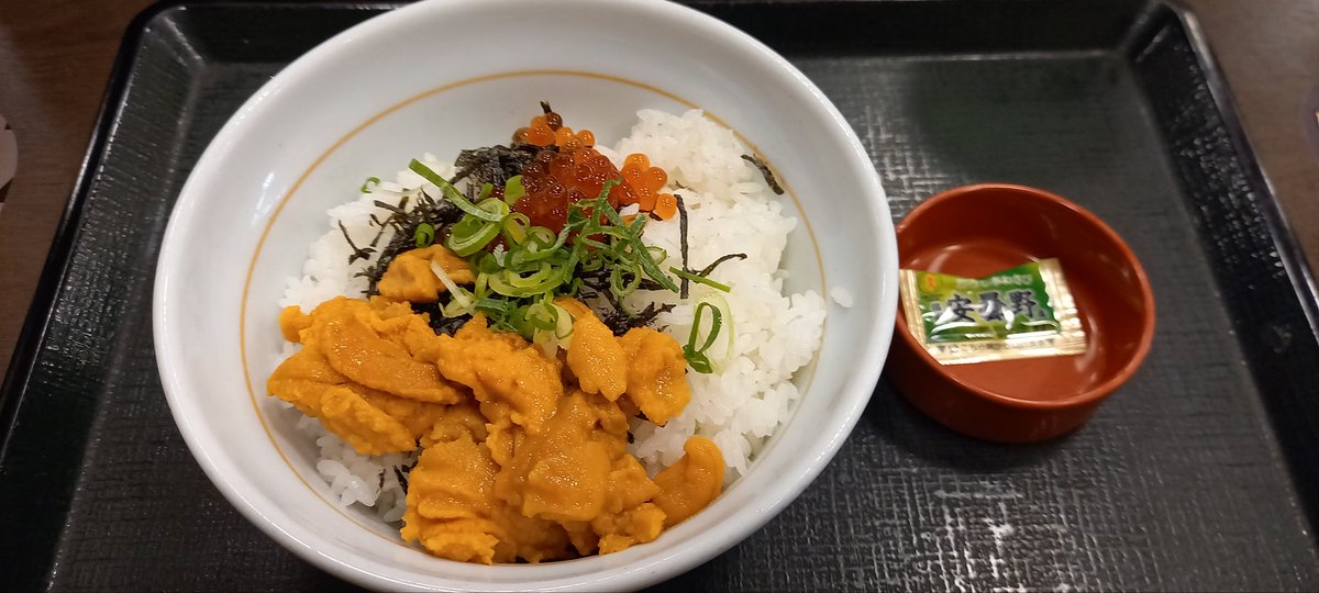hazetsuri's tweet photo. 今日は #なか卯 にて #海鮮系丼 の #うにいくら丼を摂取。一寸、#ウニ と #イクラ の盛りが！？って感じだけど、価格的にはこんな感じカァ！！でしょうネェ！！
しかし、チェーン店の物としては、良い感じのお味でした。
#牛丼チェーン店
#海鮮丼
#広島ランチ https://t.co/9smYdvtia5
