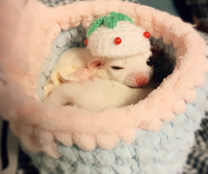 この写真ウォニョンに似てない…⁉︎(親バカ) 