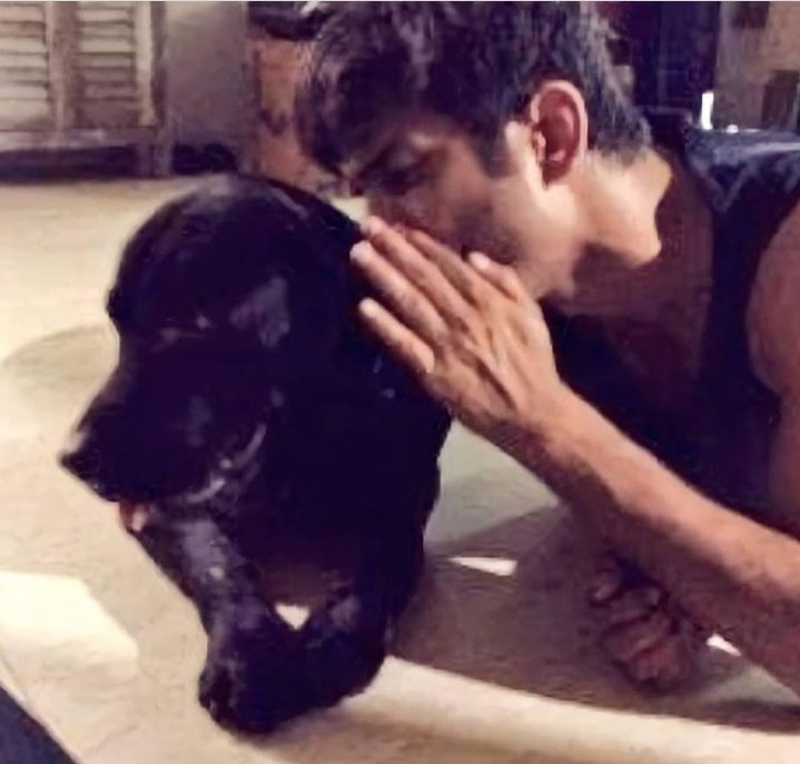 wesaidwhatnow's tweet photo. "If you remember me, then I don't care if everyone else forgets."
(Murakami)

Enjoy ur day with ur best pal Sush. But if you catch a break from cavorting around the stars and chasing the meteors, do spare a moment to chk ur msgs&amp; feel our bepanah love for you 💖
Sushant Day https://t.co/hRcvr2LU7I