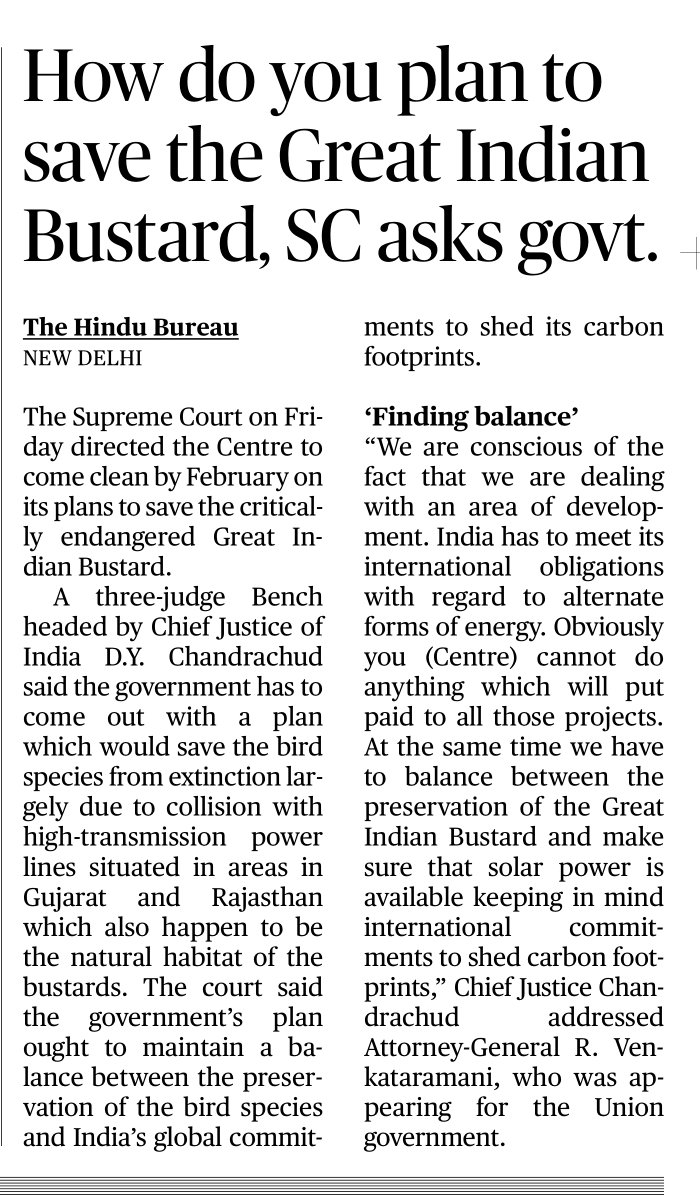 GaneshMeena_'s tweet photo. The Great Indian Bustard requires urgent conservation actions to prevent it from becoming functionally extinct within a few decades. https://t.co/sQI0J31tvK