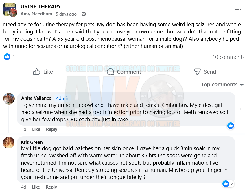 Buckle up, pet lovers.

Names not masked because piss on animal abusers.