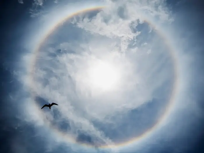 heightaway's tweet image. Halos - The most mind-boggling natural phenomena on Earth

- Like fire rainbows, halos require just the right formation of ice crystals in clouds high above the surface of the Earth to bend light from the sun into a perfect ring.

- The same phenomenon can also happen with…