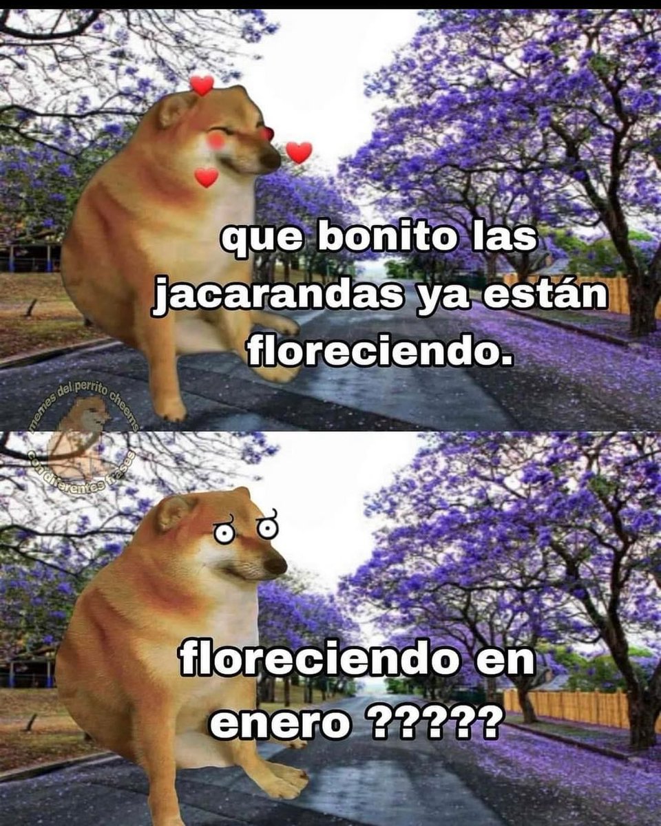 Cuando sabes el contexto de esta imagen 😨