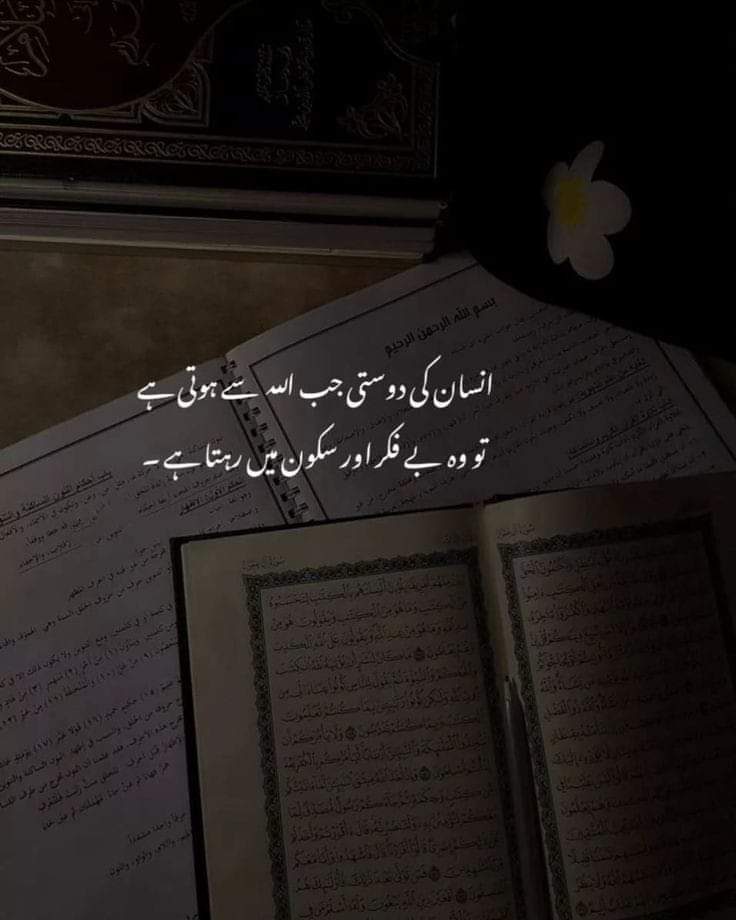Mijaz26576696's tweet photo. Good morning...
Have a nice day 

#VirtualJalsa 
#SanaJaved 
#ShoaibMalik https://t.co/rKQfjnZUb0