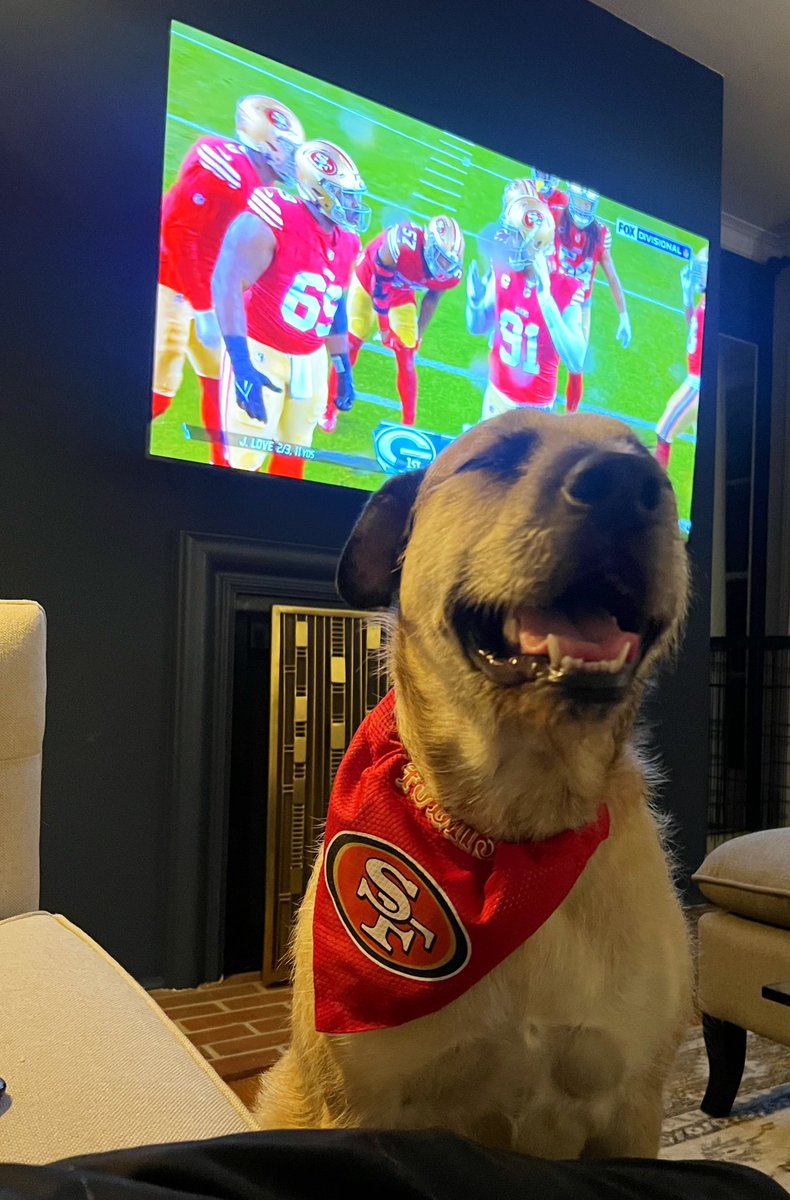 Let’s go boys..❤️💛 #49ers #football #Moose #happydog #NFLPlayoffs