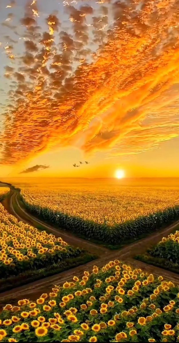 Nature___Love's tweet photo. Gm https://t.co/JGxcEcAXxI