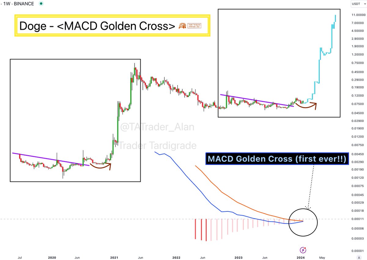 DOGE is having the first ever MACD Golden Cross.🚀 @XPayments @dogecoin
