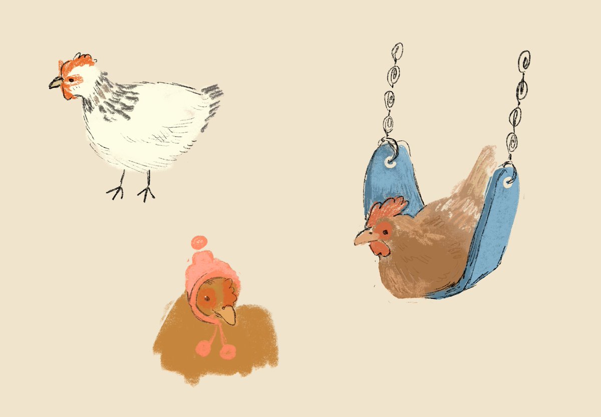 some chickens 🐣