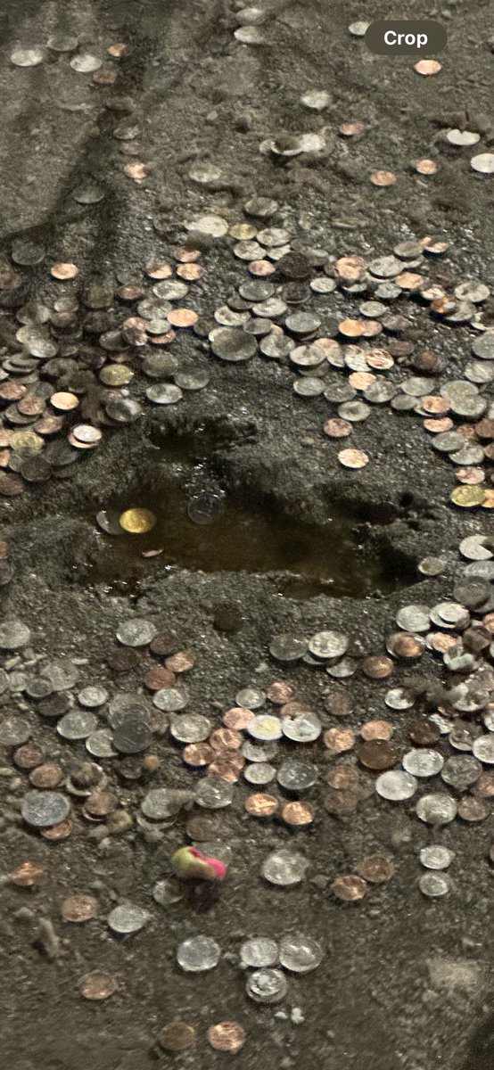 Jonathan Paul tweet media