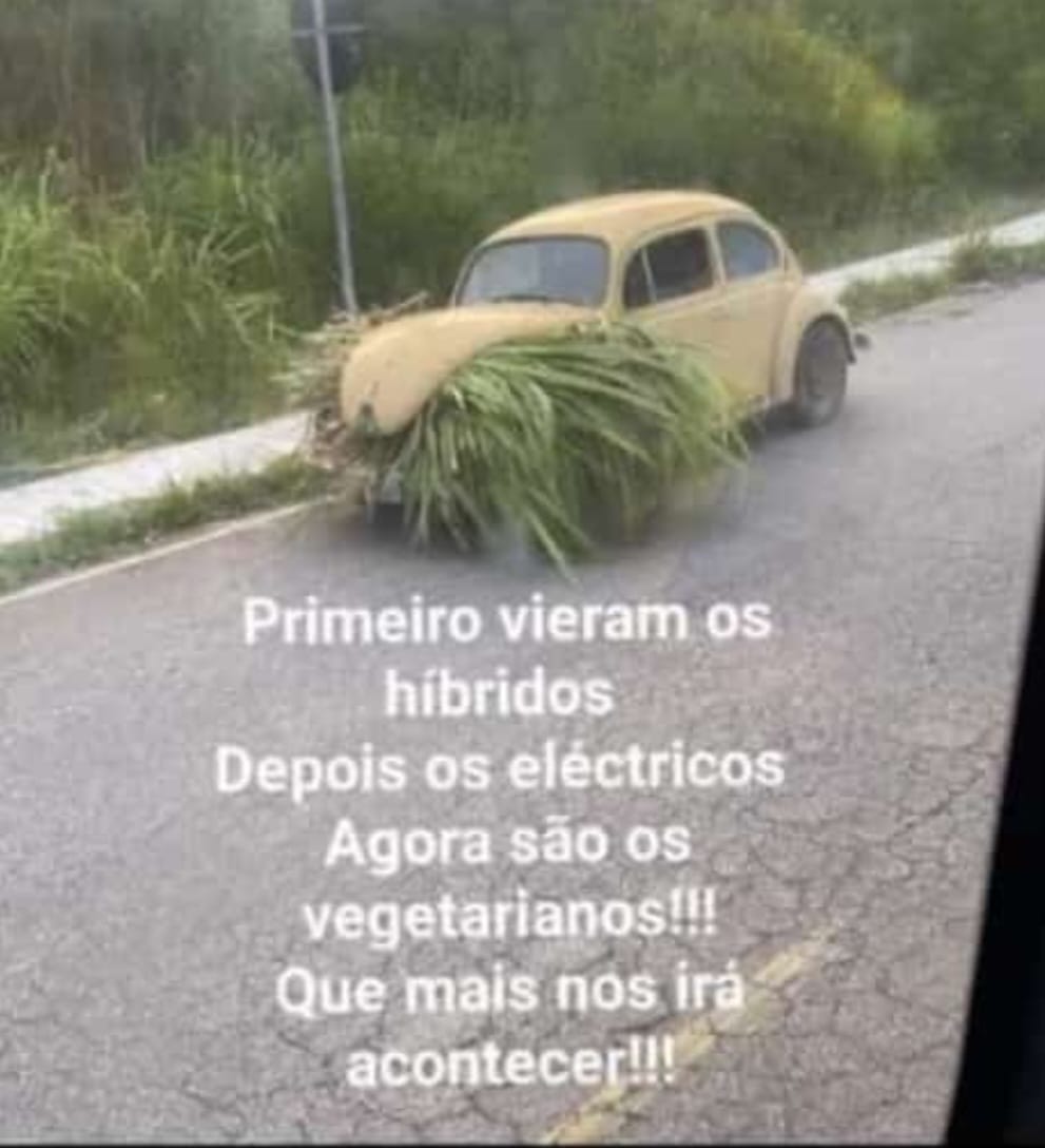 Sidney Tadeu (@sidney29706209) on Twitter photo 