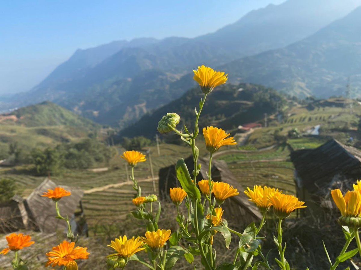 Đón bình minh bên núi, bên mây, bên hoa và người mình thương 🌼

Hạnh phúc là sáng thức giấc, ở bên ngoài vừa hay bình minh đang lên, hoa bên hiên phòng nở rộ xinh đẹp, ở bên cạnh có người mình yêu, thủ thỉ đón ngày mới thật an yên. 

Hoa xinh ở mỗi góc ban công