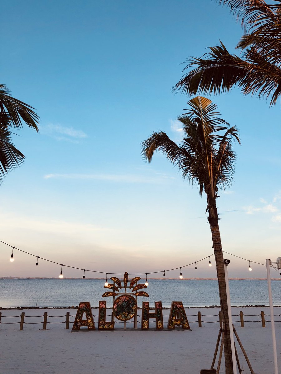 vizeuna's tweet image. 📍Aloha Pasir Putih, PIK 2