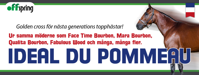 worldtrot.se tweet media