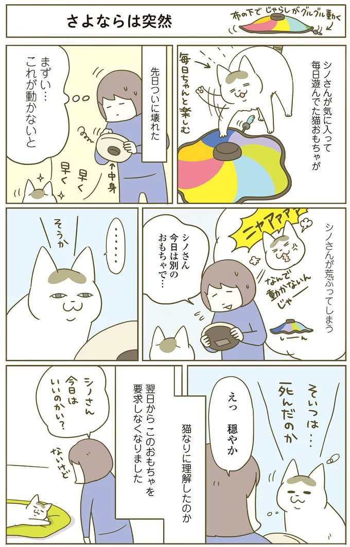 猫なりに理解してくれた? お気に入りのおもちゃが壊れたのにずいぶん穏やかな様子で - レタスクラブhttps://t.co/XjAUpzjLHB 