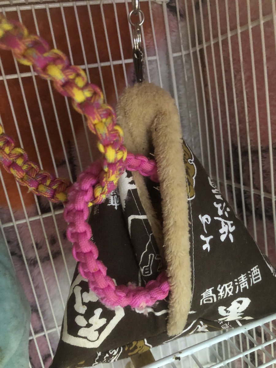 ぱせりずあろー (@parsleysarrow) / Posts / X