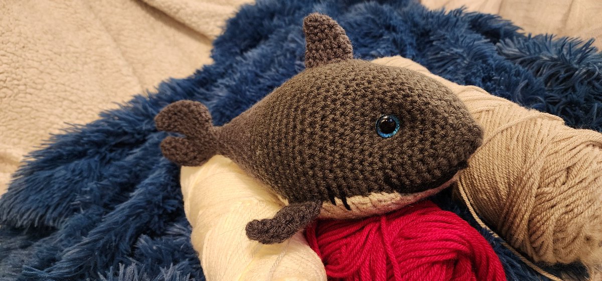 SpongeyAstro's tweet photo. Found this cutie swimming around the floof grass and yarnemones.  This shark's all dressed up in a bow from the trove of trimmings.  The adventure begins! https://t.co/pkY3OeMaf3