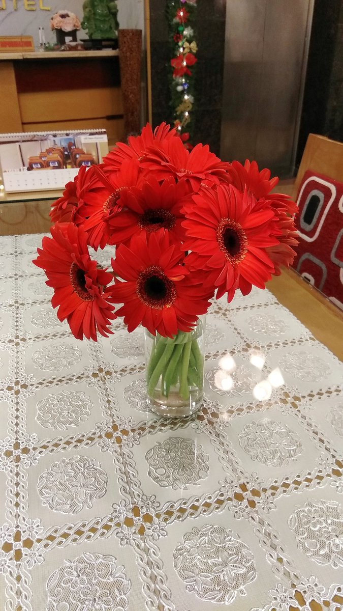 Tết nhất chỉ mong được thưởng nhiều hoa này 🥰 Có thêm quà nữa thì càng tốt 😍
Các bác có thích giống em không ạ?