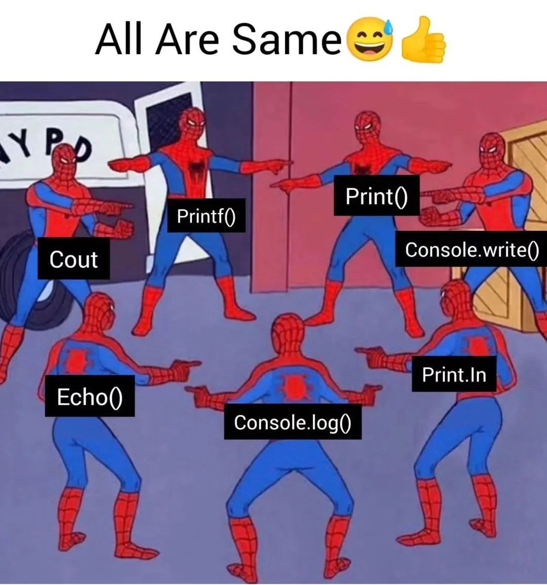 _pragmatic_dev's tweet image. Divided by programming languages
United by various print statements