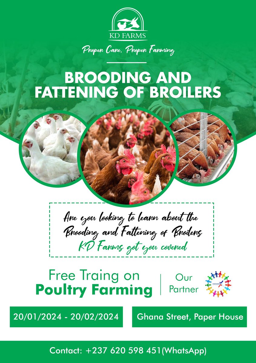 In collaboration with #KDFarms we organized a free training course on Brooding and Fattening of Broilers as an empowerment skill for youths. <a href="/socialpwds/">Divyang Empowerment</a> <a href="/GermanyDiplo/">GermanForeignOffice</a> @YouthsEnergyOrg <a href="/UN/">United Nations</a> <a href="/RefugeesCmr/">UNHCR Cameroon</a> <a href="/OchaCameroon/">OCHA Cameroon</a>