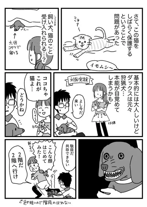 猫と向き合った時の話③
【再掲】 