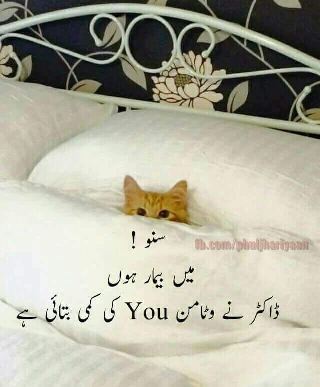 hassham_waleed's tweet photo. یار آپ لوگ Out of cast پوسٹ پر بھی نہیں آ تے کیا 🙂
#MitchellMarsh #YumnaZaidi #IPLTrad #ImadWasim #BabarAza #PakistanCricket #PAKvsAUS #RashmikaMandanna #IPL2024 #LoveYourW2023 #toyshow #TeJran https://t.co/hFQ7IIPgWN