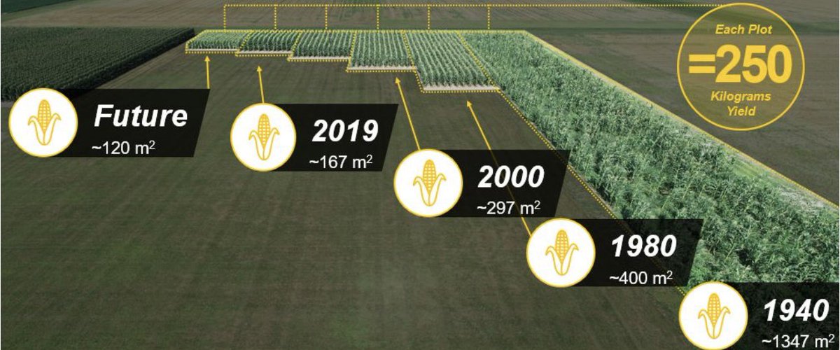 80 ans d’innovation en #agriculture résumée dans une seule photo. 

Quelle surface nécessaire pour produire 250kg de maïs 🌽 ?