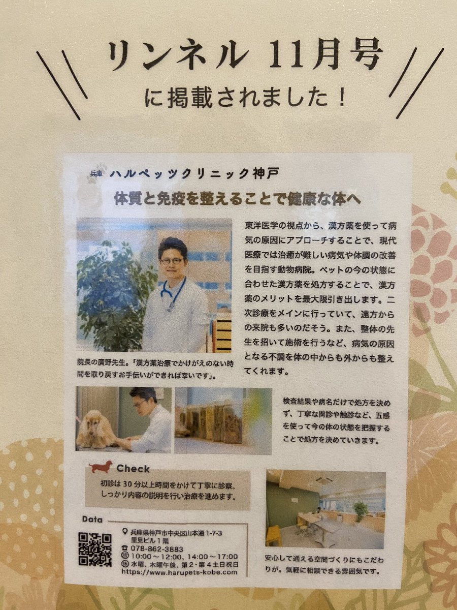 今日はハルペッツ神戸さんで診察していただきました。
トップ少しづつアルブミン値が上がってます☺️いつも休日、時間問わず相談に乗って、対処して頂いてる先生に感謝しかありません。
#ハルペッツ神戸
#漢方薬