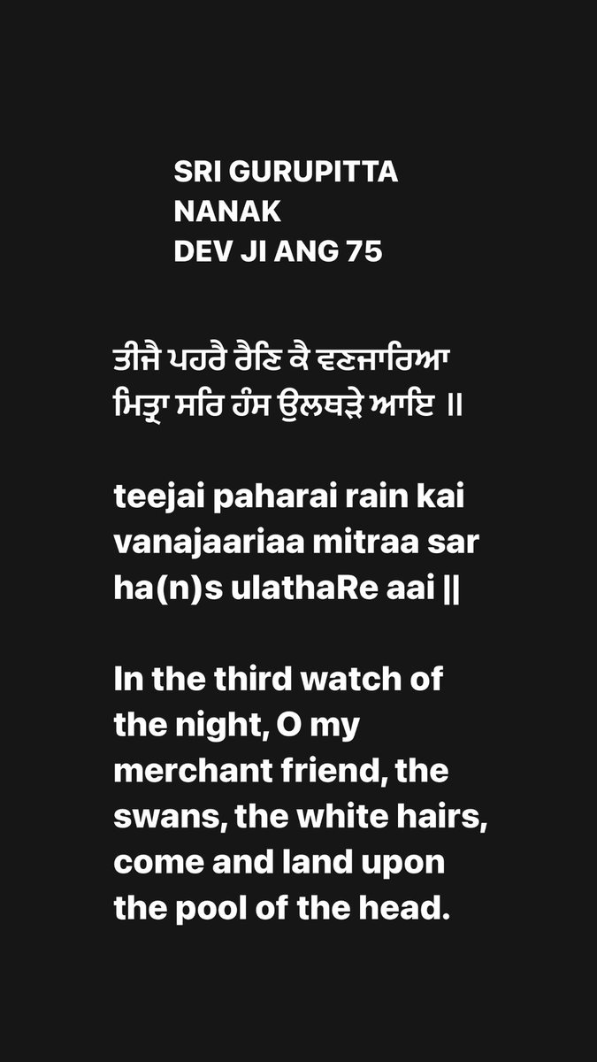 kakamohanwalia's tweet photo. 🦢🦢🦢🦢🦢🦢#Whitehair #Goinggrey ❤️ https://t.co/9zqXIyk0lk