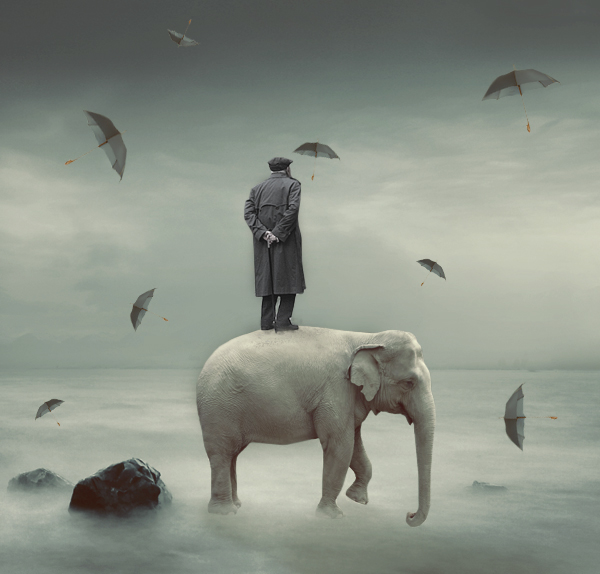 Patricia Herrero #SurrealSunday I don't know the title of this one, but it resonates. 🤔 'A white elephant is a possession that its owner cannot dispose of, and whose cost, particularly that of maintenance, is out of proportion to its usefulness.' Is he lookin' for rainbows? 🤔