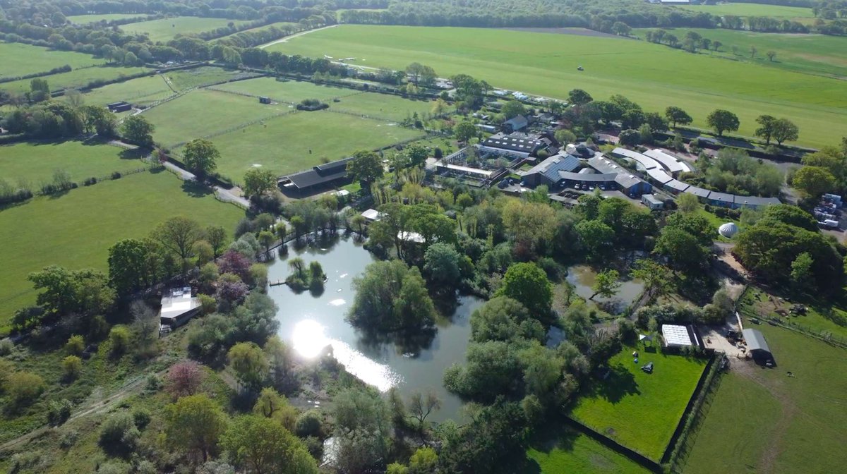 Visit Raystede, whatever the weather! Raystede is a lovely place to come for some fresh air and exercise. Bring your little ones, bring your dogs and enjoy a stroll around our beautiful 43-acre site.

Free entry but please book online: raystede.org/visit-us/