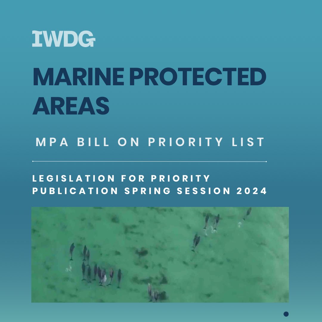 #MPA Bill on Priority List

The long-awaited Marine Protected Area Bill which was expected in Summer 2023 has made it onto the Legislation for Priority Publication Spring Session list for 2024.